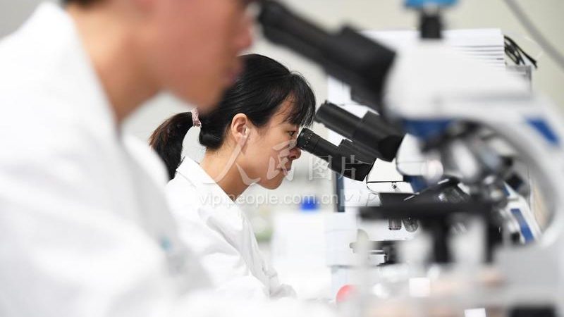 荧光定量PCR试剂：揭秘其背后的技术奥秘与价格构成**