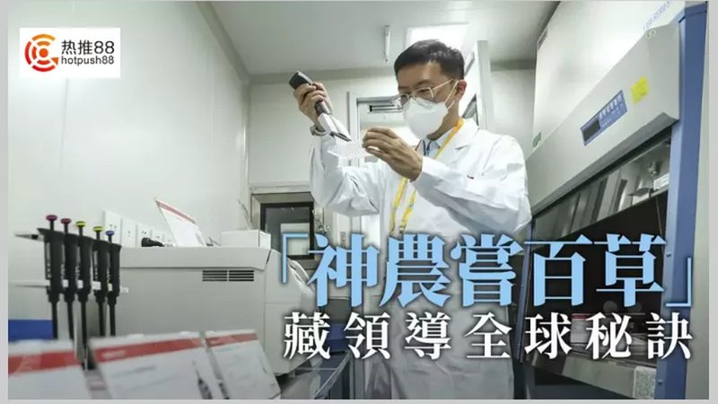 国产培养基：助力生物科技研发的基石**