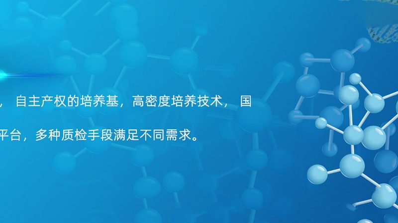 CDMO服务流程外包：揭秘制药企业的秘密武器