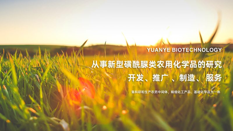 深圳生物科技公司注册全流程详解