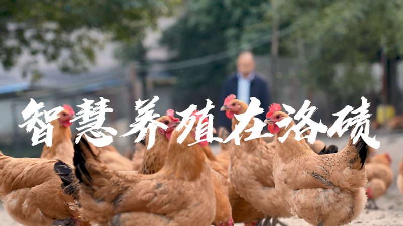 如何甄别优质CRO优化公司：口碑背后的关键要素