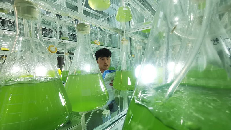 细胞工厂加盟代理，如何迈出成功的第一步？**